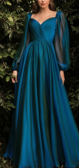 COPY - black,pink, champagne long sleeve a line chiffon gown - Picture 7 of 11